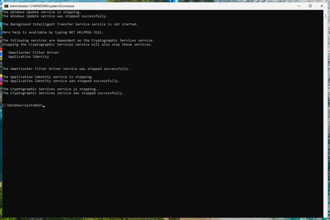 Command Prompt after stopping Windows Update, BITS and Cryptographic Services