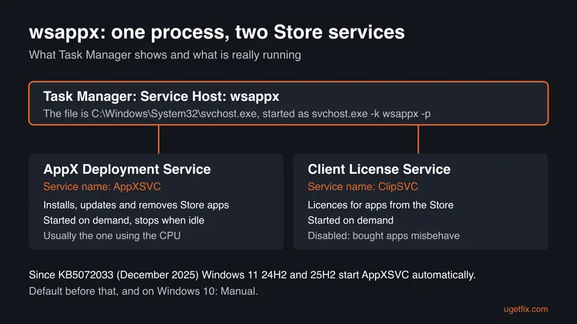 Diagram of the wsappx Service Host process in Task Manager and the two services inside it, AppX Deployment Service AppXSVC and Client License Service ClipSVC, with their jobs and startup types