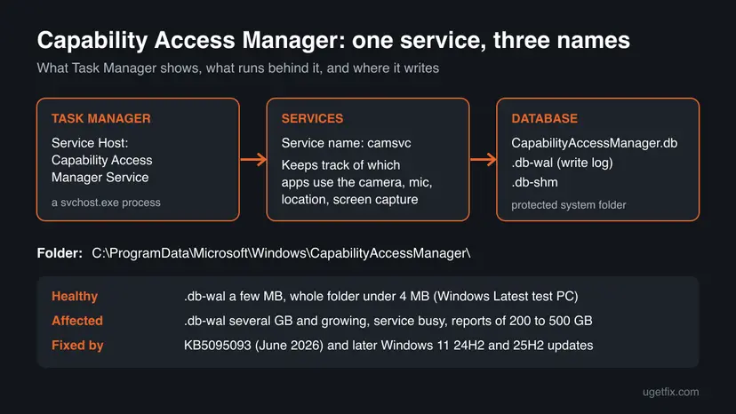 Diagram of the Capability Access Manager Service: the Task Manager name Service Host, the service name camsvc, and its database files in C:\ProgramData\Microsoft\Windows\CapabilityAccessManager