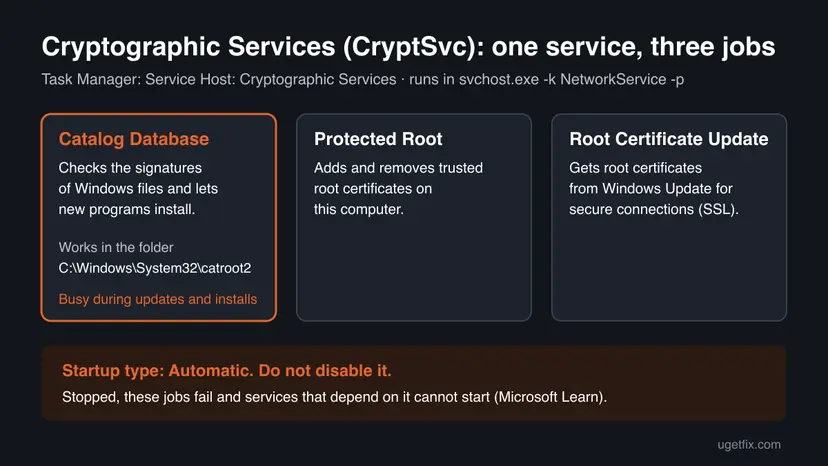 Diagram of Windows Cryptographic Services (CryptSvc) with its three jobs: Catalog Database in the catroot2 folder, Protected Root and Root Certificate Update
