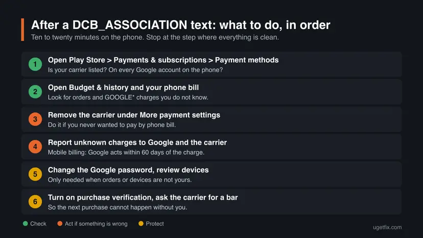Infographic with six numbered actions after a DCB_ASSOCIATION text: check payment methods, check Budget and history and the phone bill, remove the carrier, report unknown charges, change the Google password, turn on purchase verification.