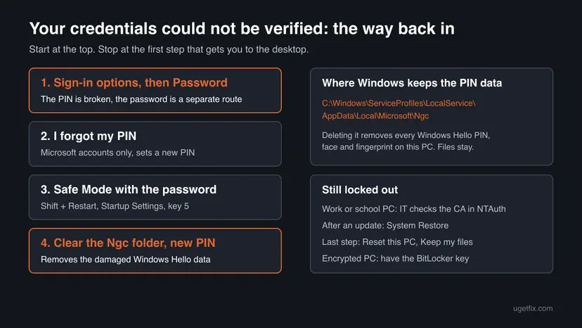Infographic of the way back in after Your credentials could not be verified: password via Sign-in options, I forgot my PIN, Safe Mode, clearing the Ngc folder at its full path, and the steps when you are still locked out