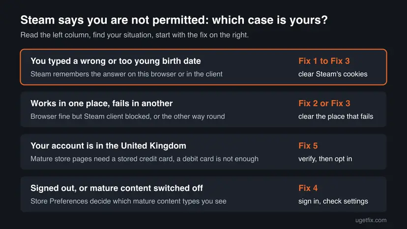 Chart with four cases: wrong birth date remembered, works in one place only, UK account, signed out or mature content off, each pointing to the fix to start with