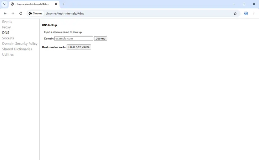 Chrome net-internals DNS page with the DNS lookup box, the Domain field, the Lookup button and the Clear host cache button