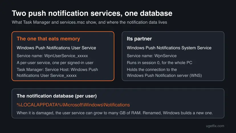 Diagram comparing Windows Push Notifications User Service (WpnUserService_xxxxx, per user) with Windows Push Notifications System Service (WpnService, session 0) and the Notifications database folder in LOCALAPPDATA
