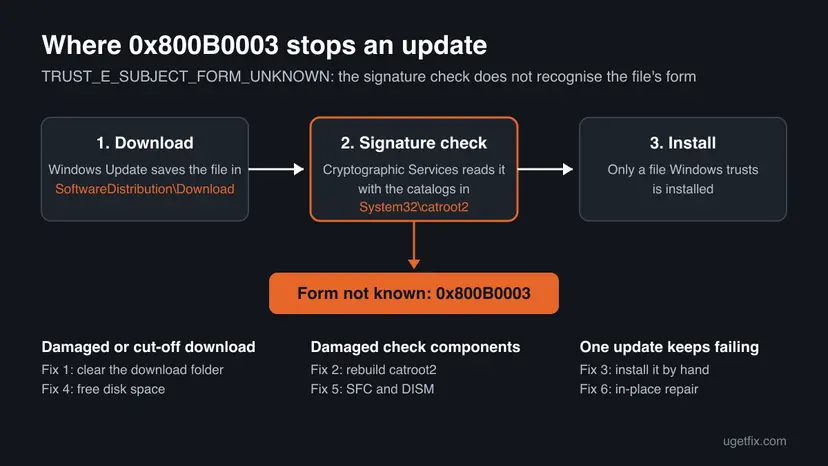 Diagram of error 0x800B0003: the update is saved in SoftwareDistribution Download, Cryptographic Services checks it with the catalogs in catroot2, and an unknown file form stops the install