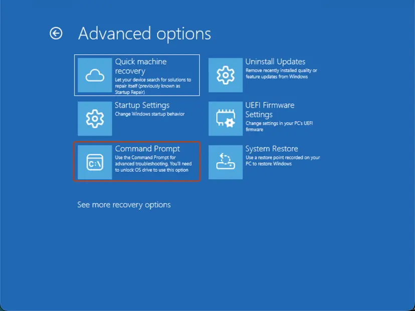 Advanced options: Command Prompt: screenshot taken on Windows 11 26H2