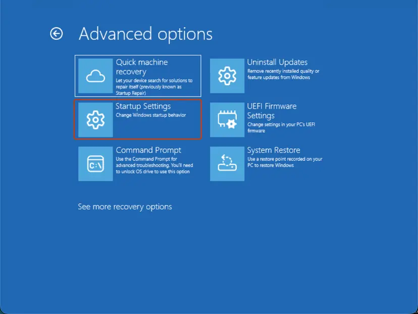 Advanced options: Startup Settings: screenshot taken on Windows 11 26H2