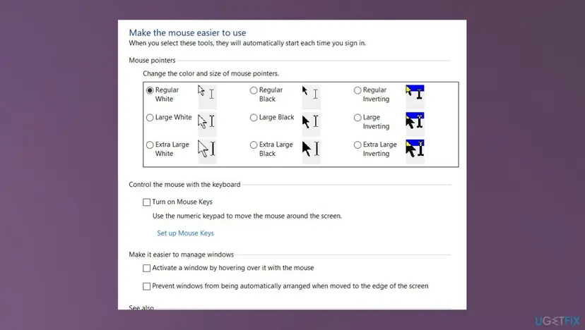 Make the mouse easier to use page in Control Panel with the Make it easier to manage windows options at the bottom
