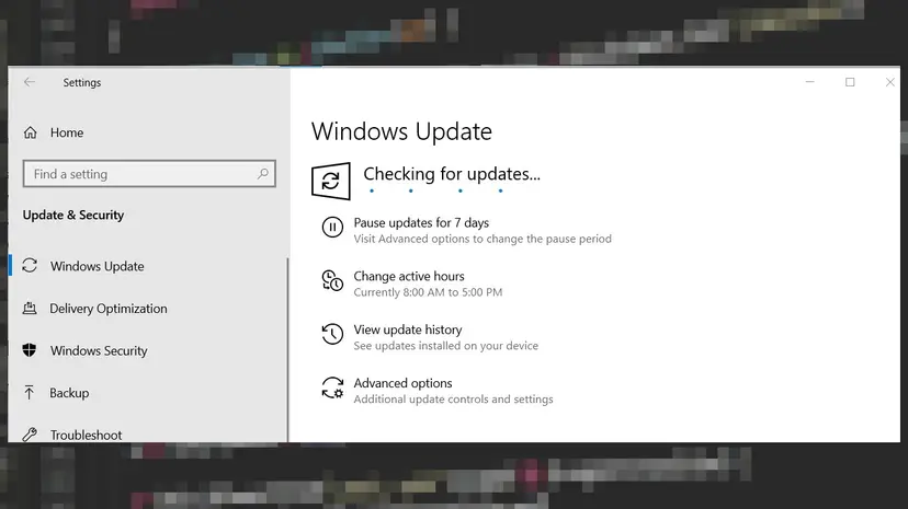 Windows Update settings page on Windows 10 showing the Checking for updates status