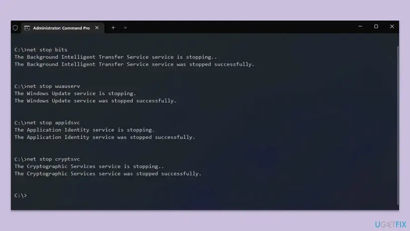Administrator Command Prompt after net stop bits, wuauserv, appidsvc and cryptsvc, each service reported as stopped successfully