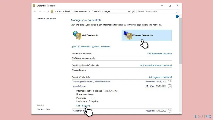 Credential Manager in Control Panel with Windows Credentials selected and a generic credential expanded, showing its address, user name and the Edit and Remove links