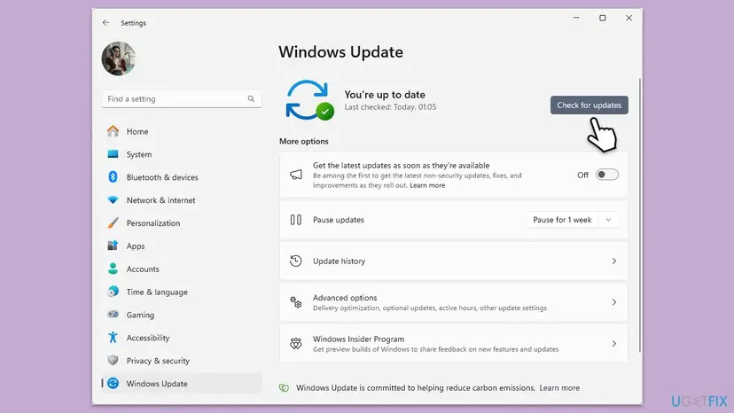 Windows Update page in Settings showing You're up to date with the Check for updates button selected and More options below