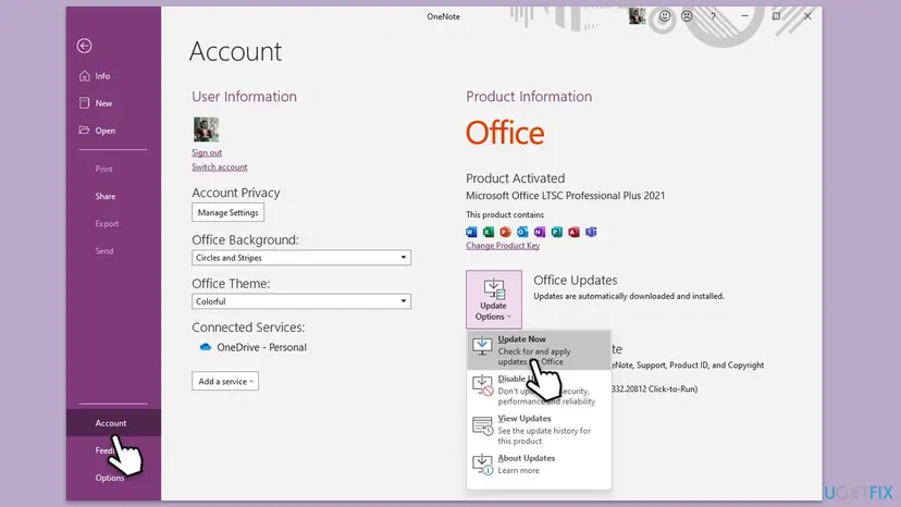 OneNote File, Account page with User Information on the left and Update Options open on the right showing Update Now