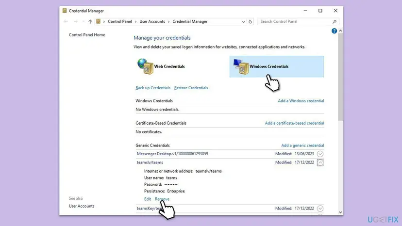 Credential Manager in Control Panel with Windows Credentials selected and one entry under Generic Credentials expanded, showing its address, user name and the Edit and Remove links