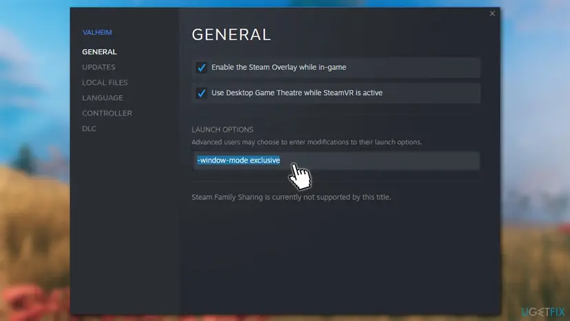 Steam Properties window of Valheim on the General tab with a launch option typed into the Launch Options field