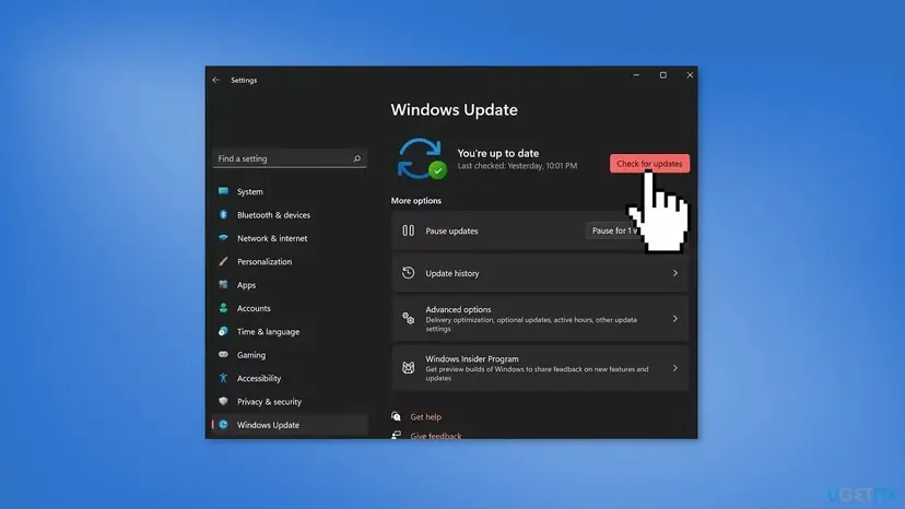 Windows 11 Settings on the Windows Update page showing You're up to date and the Check for updates button