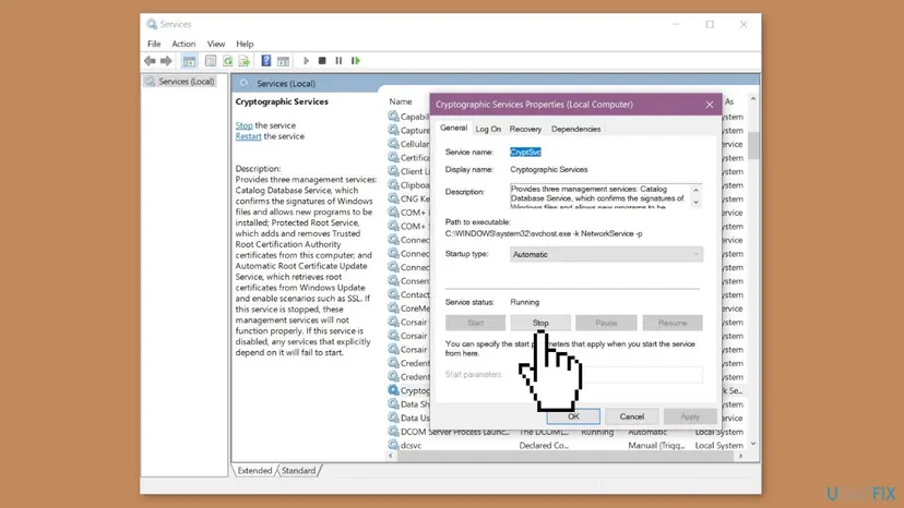 Services console with Cryptographic Services Properties open: service name CryptSvc, svchost.exe -k NetworkService -p, startup type Automatic and the Stop button