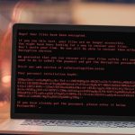 Bad rabbit ransomware top 5 facts