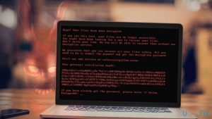 Bad rabbit ransomware top 5 facts