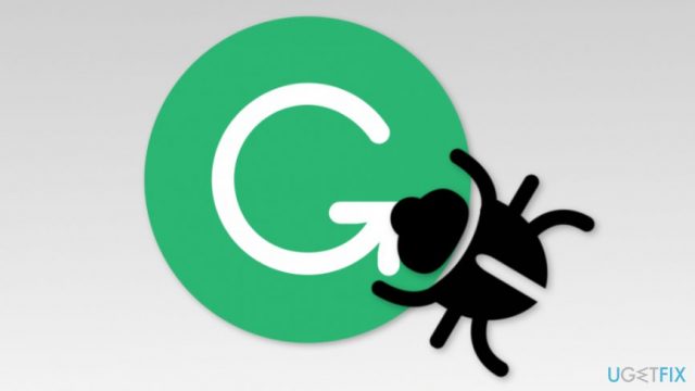 Grammarly bug detected