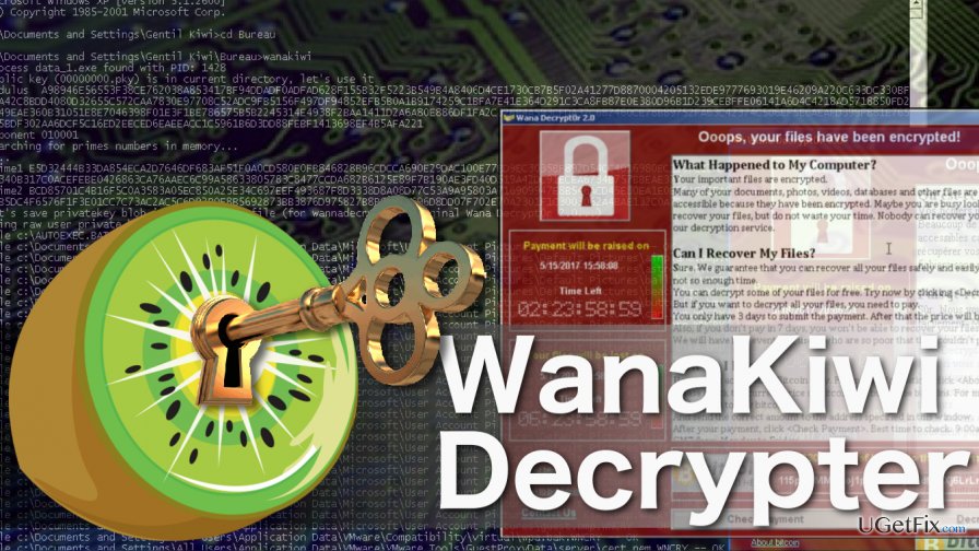 How to use Wanakiwi decrypter?