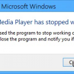 A problem caused the program to stop working correctly error