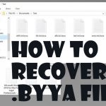 Byya ransomware recovery fix