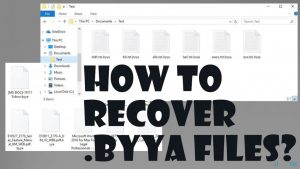 Byya ransomware recovery fix