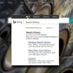 Clear bing search history