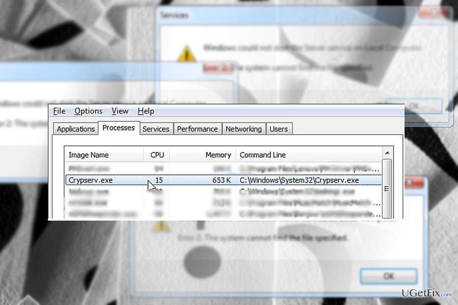 The picture displaying crypserv.exe file