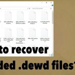 Dewd ransomware fix