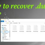 Dwqs ransomware file recovery