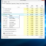 End Pro PC Cleaner task in the Task Manager