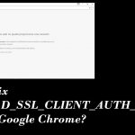 Err bad ssl client auth cert fix