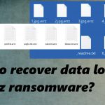 Errz ransomware file restore