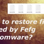Fefg ransomware file recovery