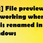 File preview not working when file is renamed fix
