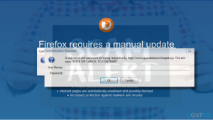 Firefox requires a manual update