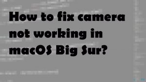 Fix camera not working in big sur