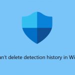 Fix cant delete detection history in windows