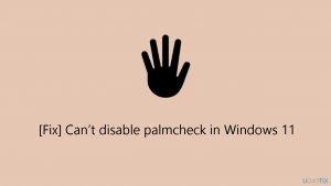 Fix cant disable palmcheck in windows