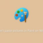 Fix cant paste pictures in paint on windows