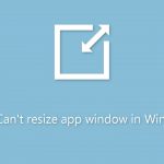 Fix cant resize app window in windows