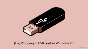 Fix plugging in usb crashes windows pc copy