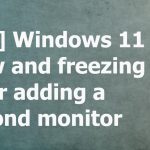 Freezing windows 11 dual display fix
