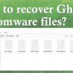 Ghas file recovery fix