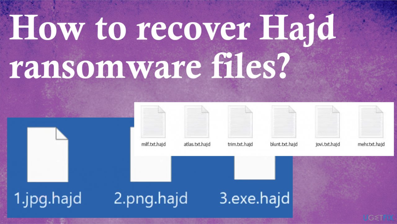 Hajd ransomware files