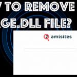 How remove pidage dll