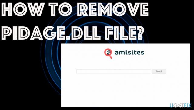 How remove pidage dll